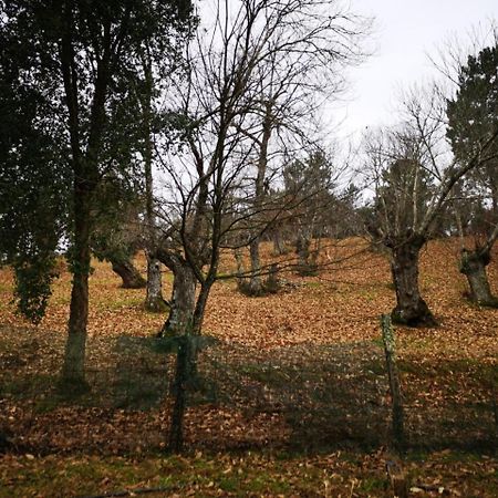 Valle Granado Fuenteheridos Esterno foto