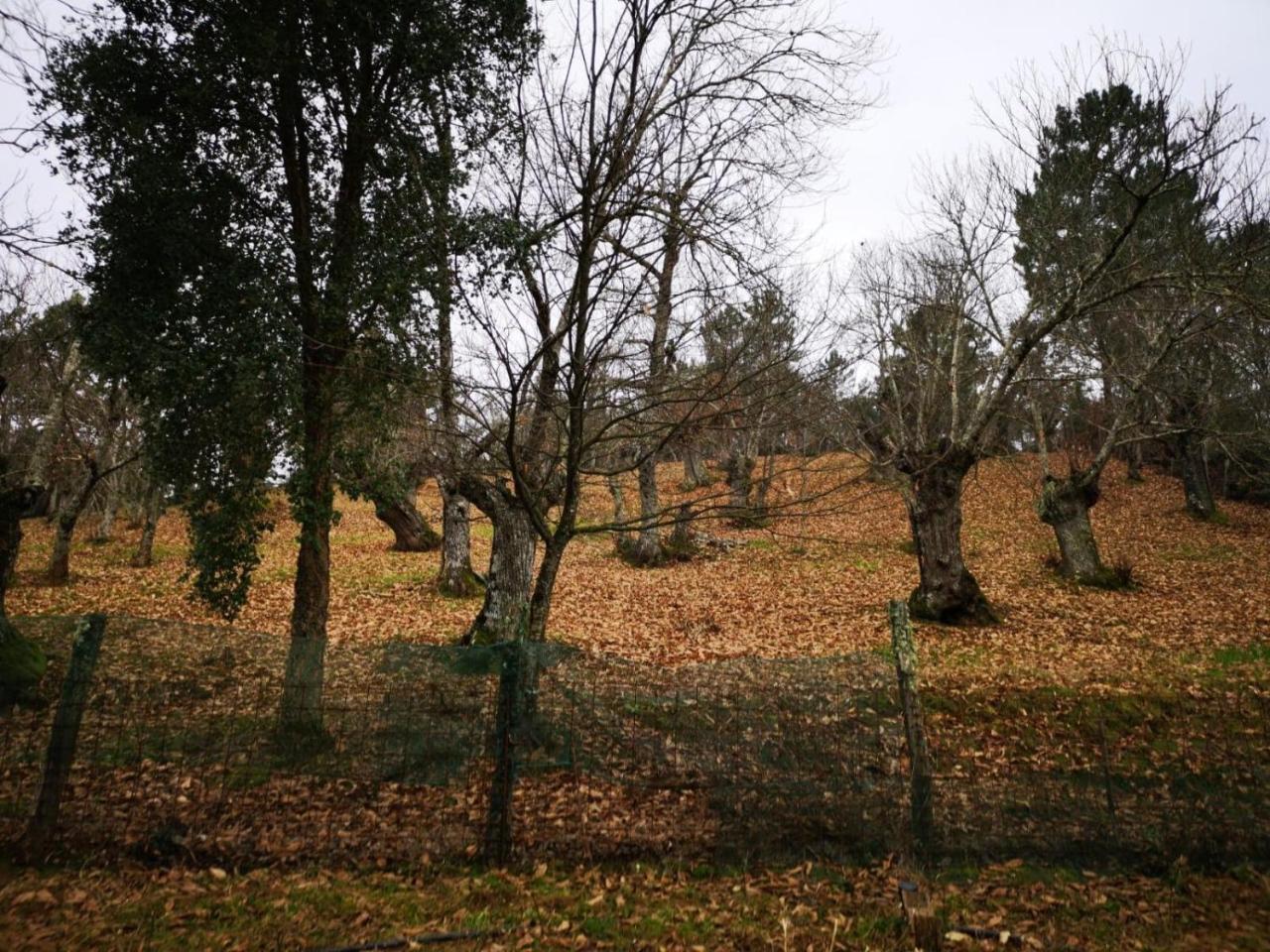 Valle Granado Fuenteheridos Esterno foto